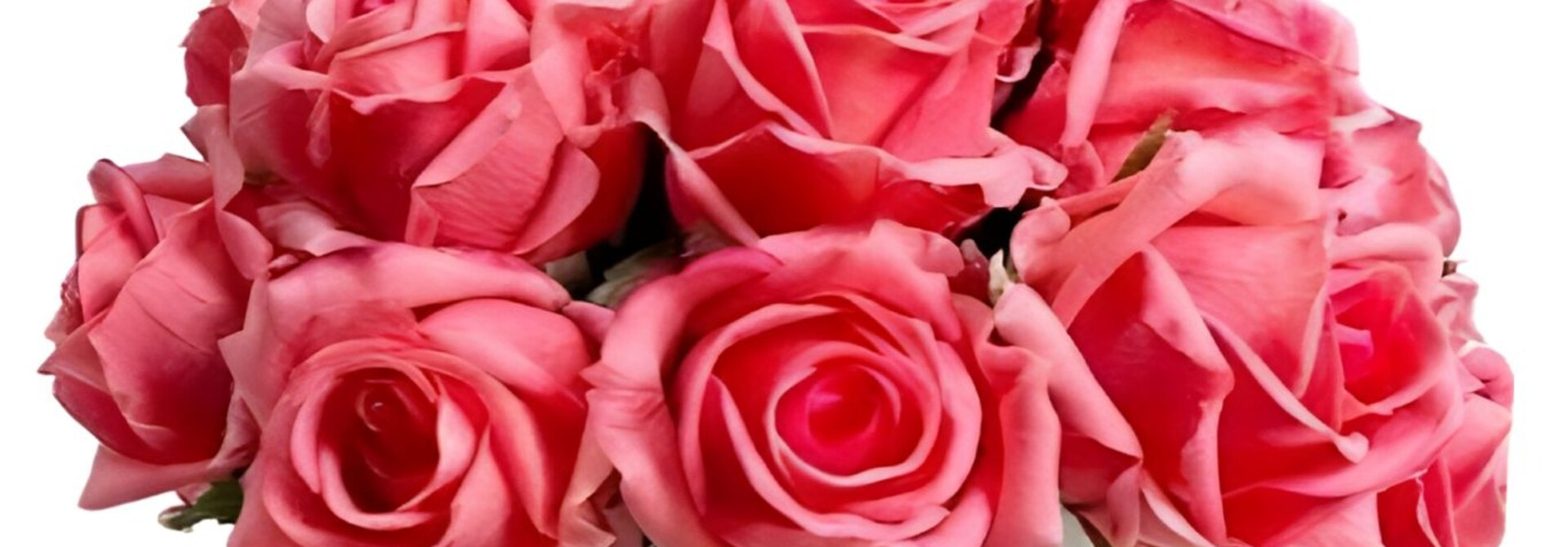 Grand Bouquet Boutons de Rose White Peach Vase Clair