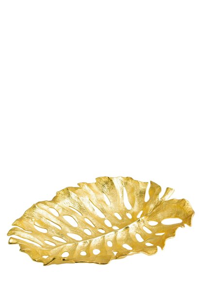 Coupe  Leaves Monstera