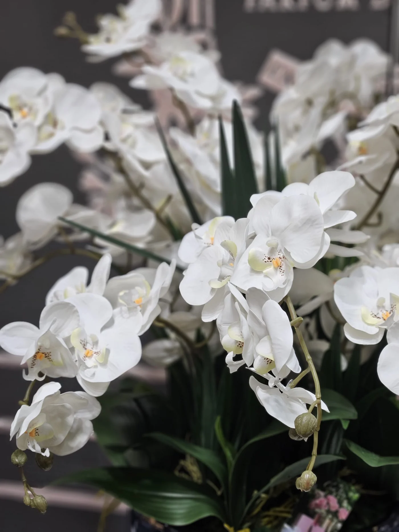 Grand Bouquet Orchidée Blanc-4