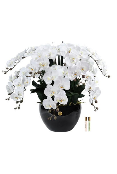 Grand Bouquet Orchidée White