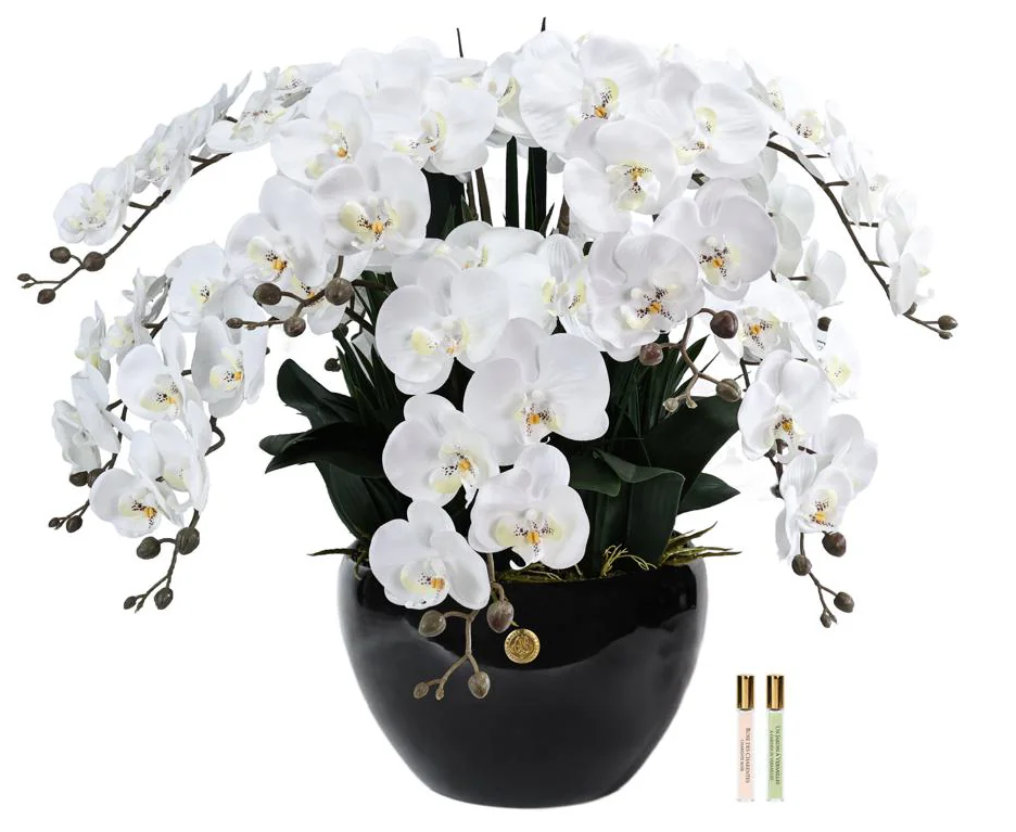 Grand Bouquet Orchidée Blanc-1