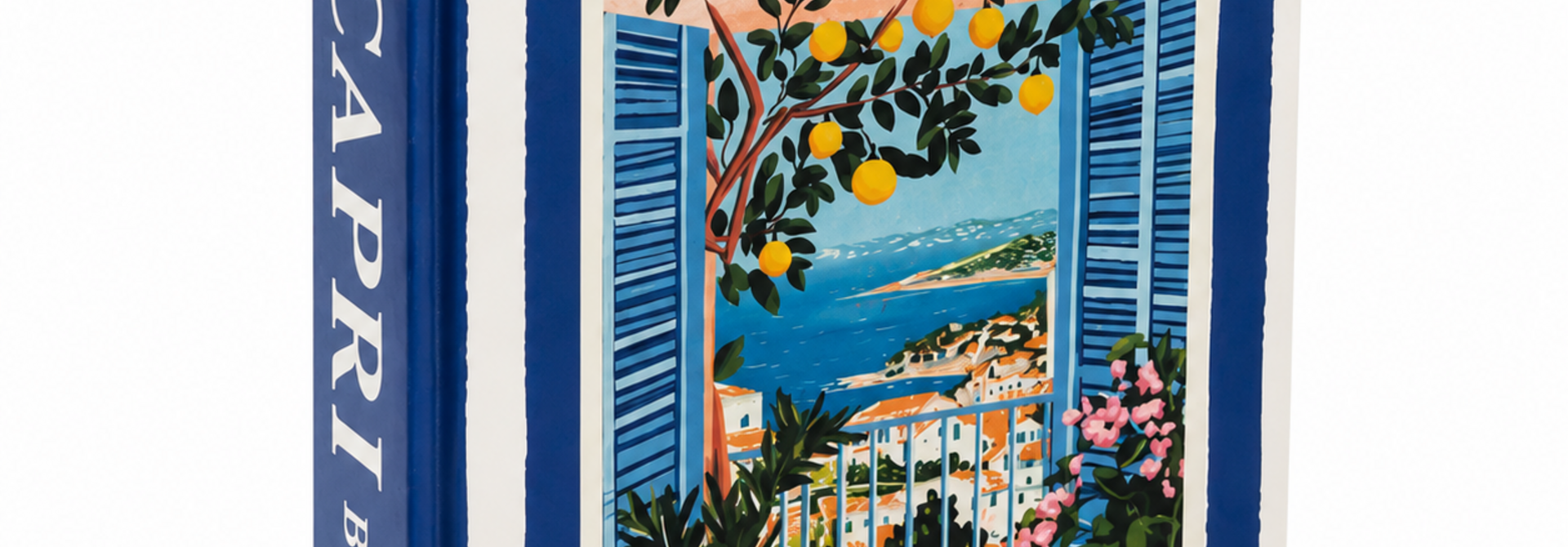 Boite Livre Capri Bleu