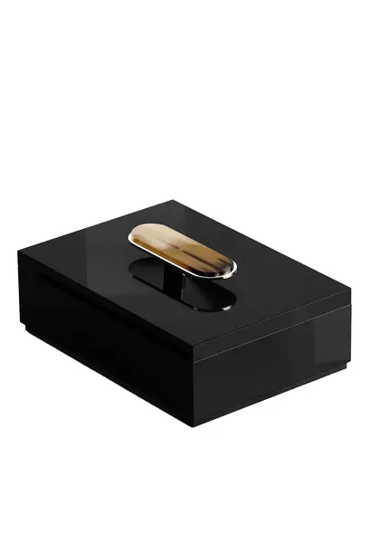 Priora Black Lacquered Wood & Horn Box 28cm