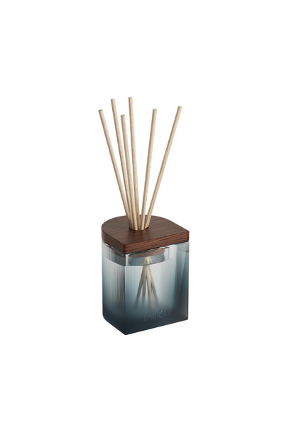 La Muse Diffuser 250 ml