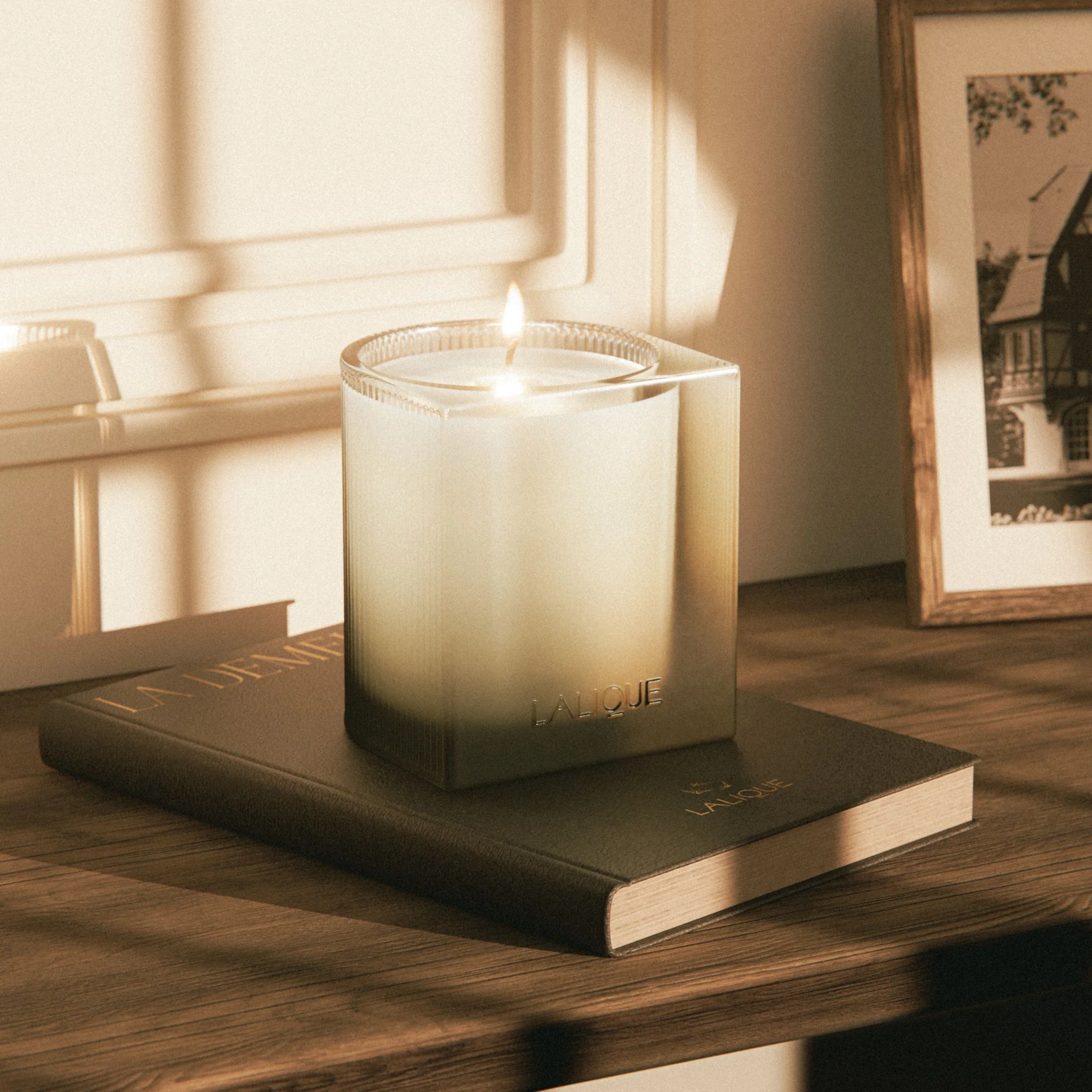 Bougie La Demeure 220 g-2