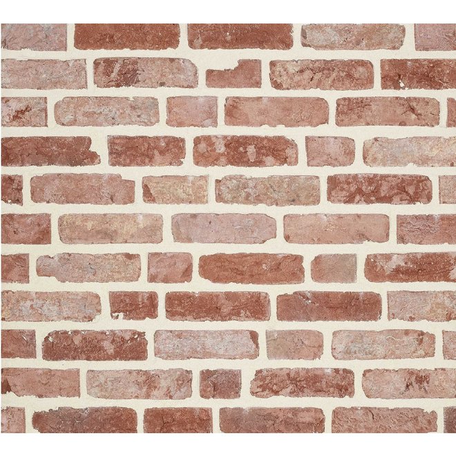 KempiQ Authentieke gevelsteen KQ107 Moef formaat