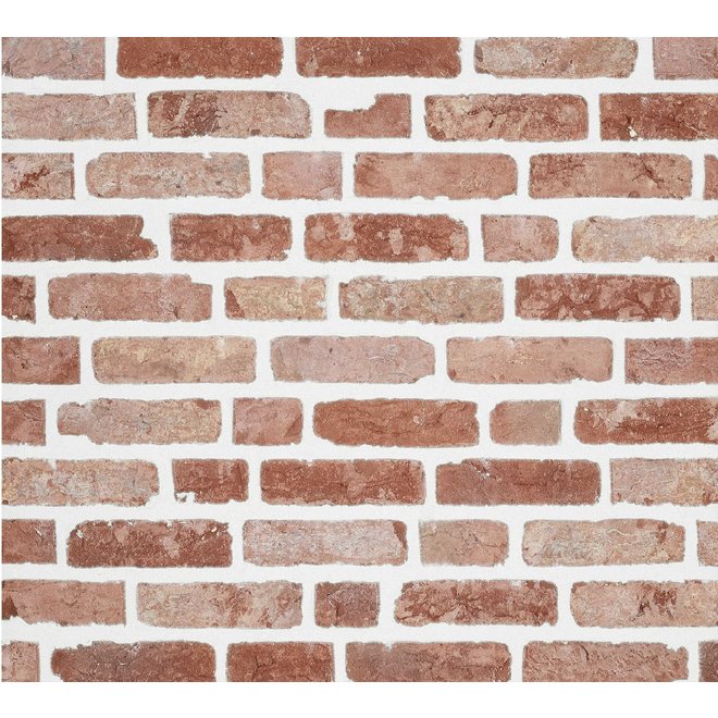 KempiQ Authentieke gevelsteen KQ107 Moef formaat