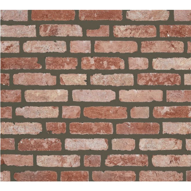 KempiQ Authentieke gevelsteen KQ107 Moef formaat