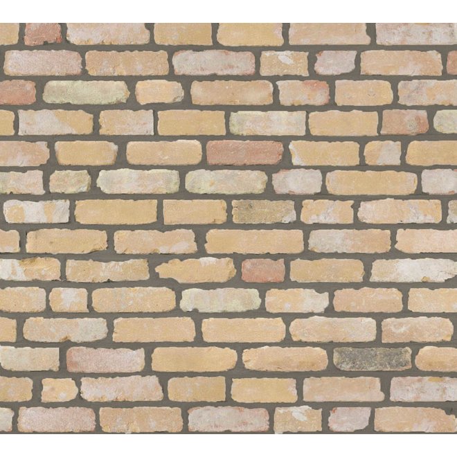 KempiQ Authentieke gevelsteen KQ109 Moef formaat