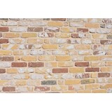 KempiQ Authentieke gevelsteen KQ109 Moef formaat