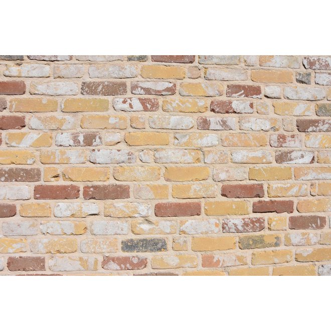 KempiQ Authentieke gevelsteen KQ109 Moef formaat