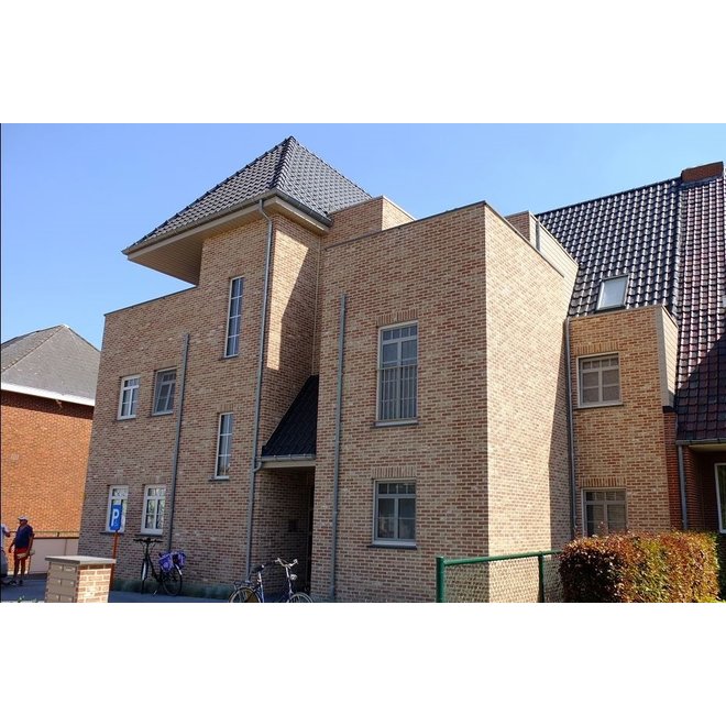 KempiQ Handvorm gevelsteen Moduul 50 formaat KQ113 per pallet
