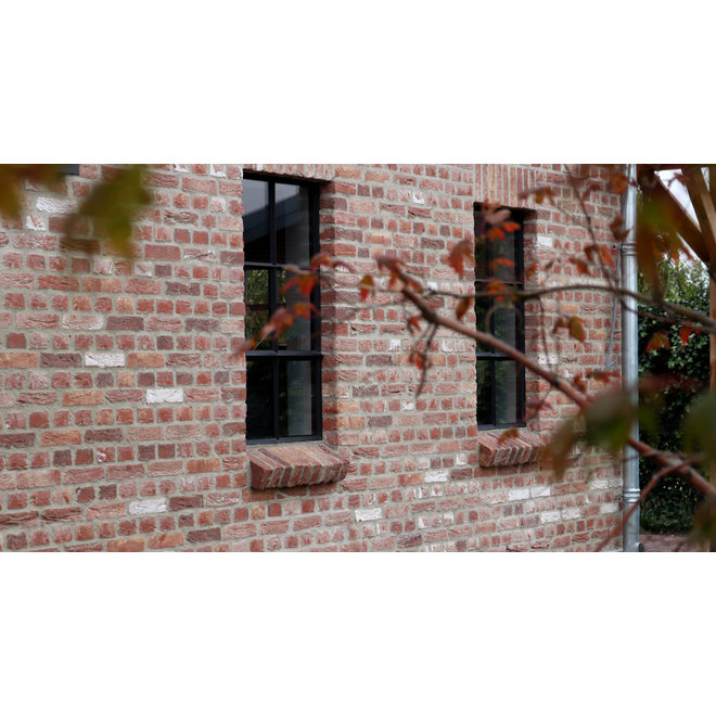 KempiQ Zwart stalen raam openslaand dubbel glas B55 x H100 cm