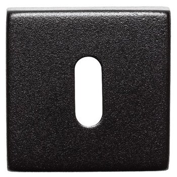 Industrieel modern sleutelrozet zwart per stuk Industrieel modern sleutelrozet zwart per stuk