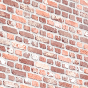 Handvorm gevelsteen rijnvorm KempíQ 2 per pallet