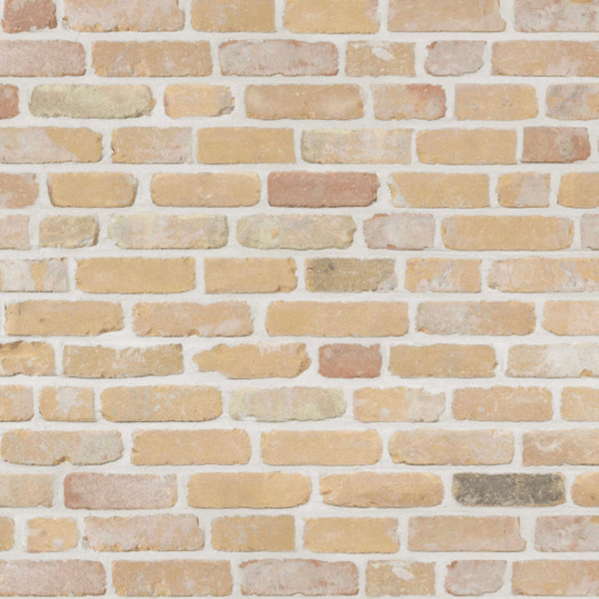 KempiQ Authentieke gevelsteen KQ109 Moef formaat