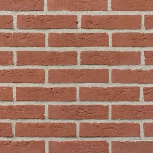 Keimsteen rood licht genuanceerd Waalformaat per pallet