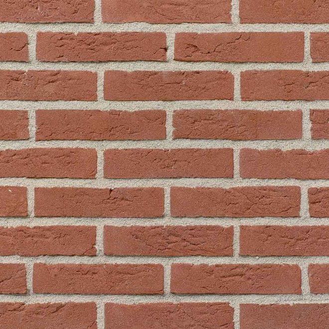 KempiQ Keimsteen rood licht genuanceerd Waalformaat per pallet