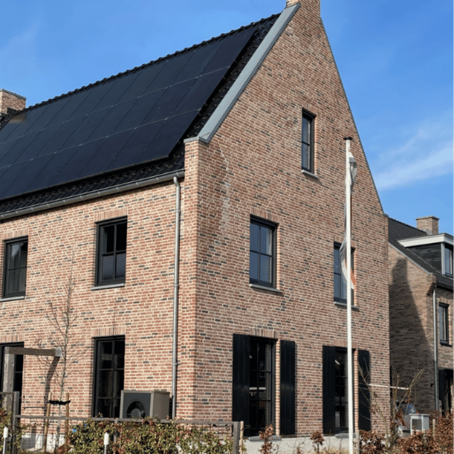 Wienerberger Gevelsteen Mistiek Nuance Handvorm Waalformaat