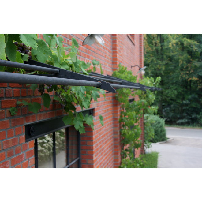 KempiQ Decoratieve klimplantdrager zwart gecoat 4 meter