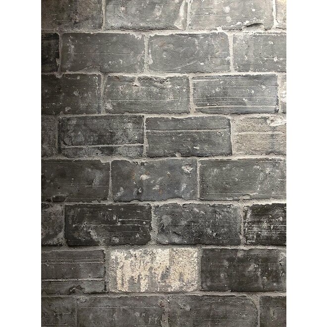 KempiQ Oude blauwe plavuizen parfeuilles  23 x 11,5 cm per m2