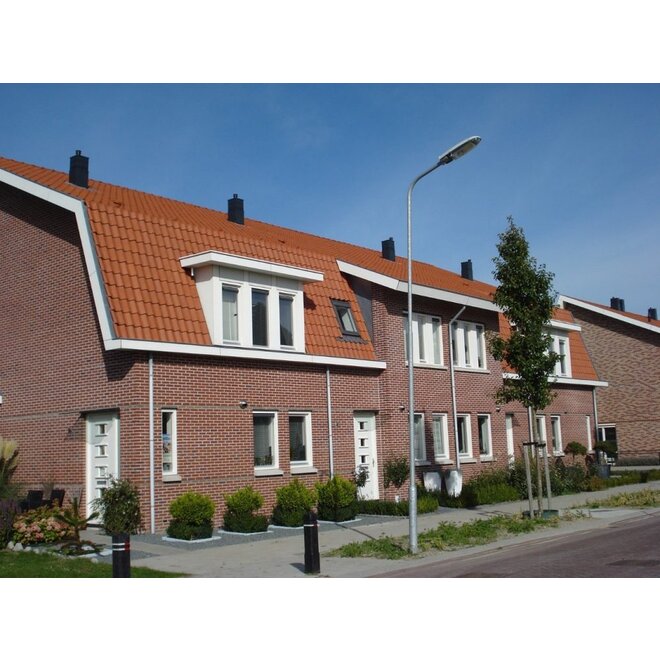 Wienerberger Keramische dakpan Wienerberger OVH Vario natuurrood per stuk