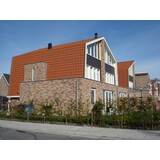 Wienerberger Keramische dakpan Wienerberger OVH Vario natuurrood per stuk
