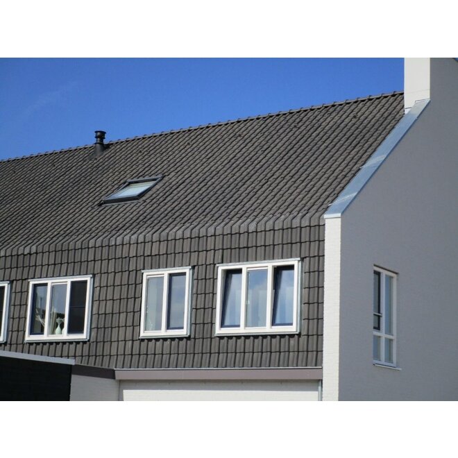 Wienerberger Keramische dakpan Wienerberger Klassiek Blauw gesmoord per stuk