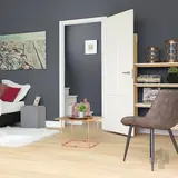 Austria Binnendeur Svenska Arvid opdek links wit gegrond