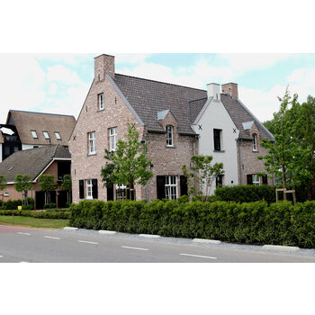 Nieuwbouw Bagijnse woning Opheusden