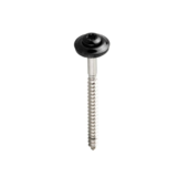 KempiQ Klokschroef torx rvs met EPDM ring 4,5*65mm  per doos
