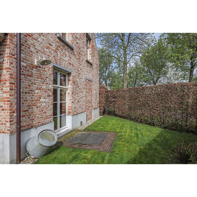 KempiQ Renovatiesteen RQ3 moduul 50 formaat per pallet