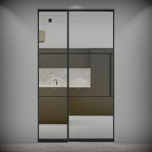 Metaal Design stalen pui met taatsdeur met zijlicht