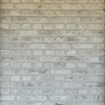 Gevelsteen Terca CL Moduul 50