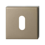 Ten Hulscher Sleutelrozet vierkant 50x50x8mm Champagne blend