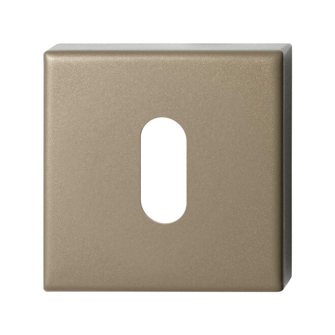 Ten Hulscher Sleutelrozet vierkant 50x50x8mm Champagne blend