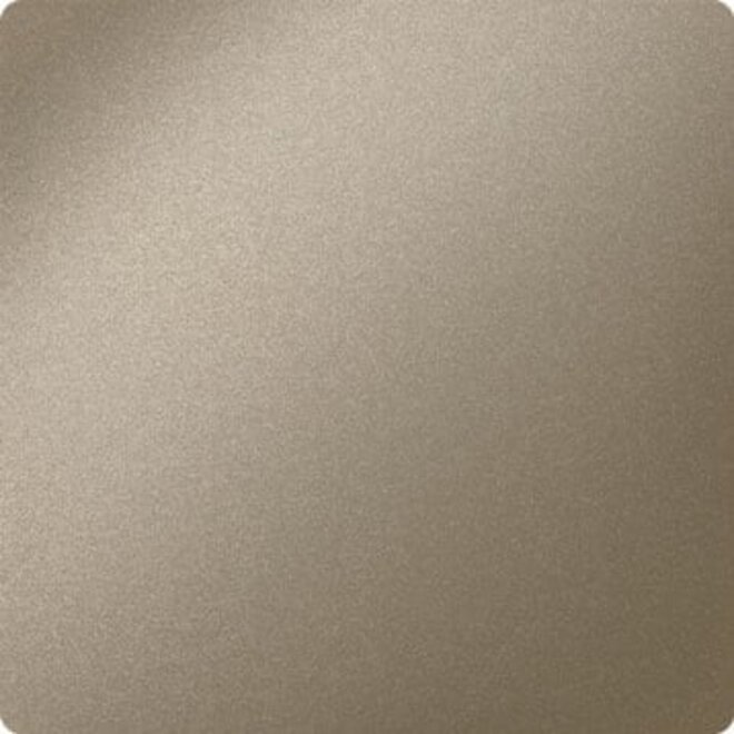 Ten Hulscher Cilinderrozet rond 50x8mm Champagne blend