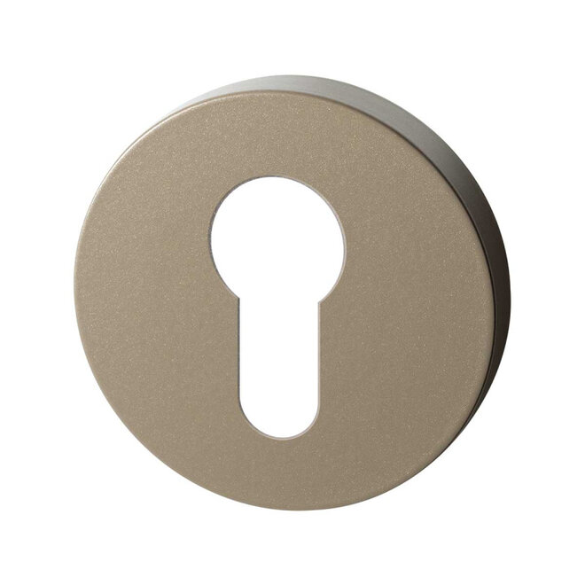 Ten Hulscher Cilinderrozet rond 50x8mm Champagne blend