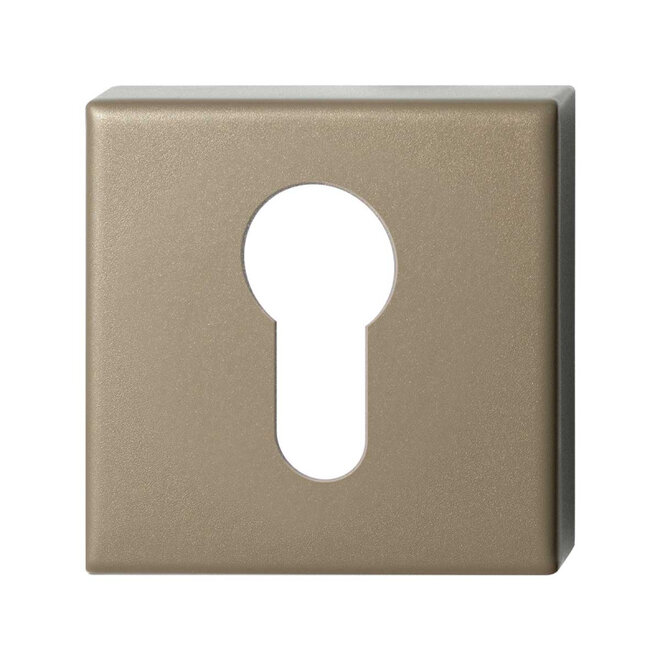 Ten Hulscher Cilinderrozet vierkant 50x50x8mm Champagne blend