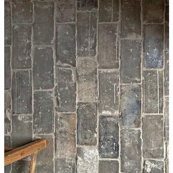 KempiQ Oude blauwe plavuizen parfeuilles  23 x 11,5 cm per m2