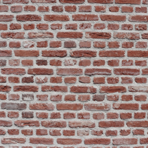 Handvorm gevelsteen rijnvorm KempíQ 5 per pallet