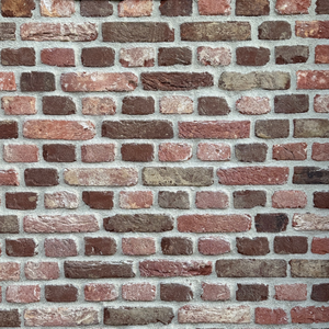 Verouderde gevelsteen Kempisch Patina Moduul 50 per pallet