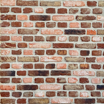 Gevelsteen Kempisch Rustica Moduul 50