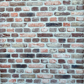 Gevelsteen Kempisch Rustica Moduul 50