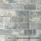 KempiQ Oude blauwe plavuizen parfeuilles  23 x 11,5 cm per m2