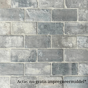 Oude blauwe plavuizen parfeuilles  23 x 11,5 cm per m2