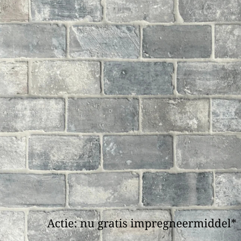 Oude blauwe plavuizen parfeuilles  23 x 11,5 cm
