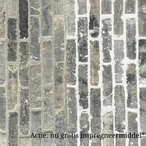 Oude blauwe Waaltjes  22,5 x 4,8 cm per m2