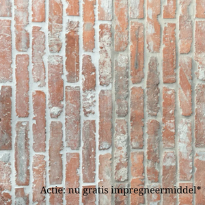 Oude rode Waaltjes  22,5 x 4,8 cm per m2