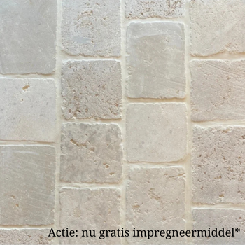 Bourgondische dallen gemêleerd getrommeld 20 cm breed